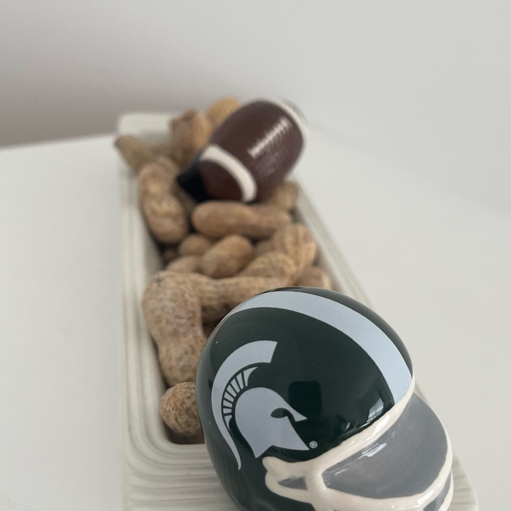 Nora Fleming Collegiate Michigan State Helmet (A308)